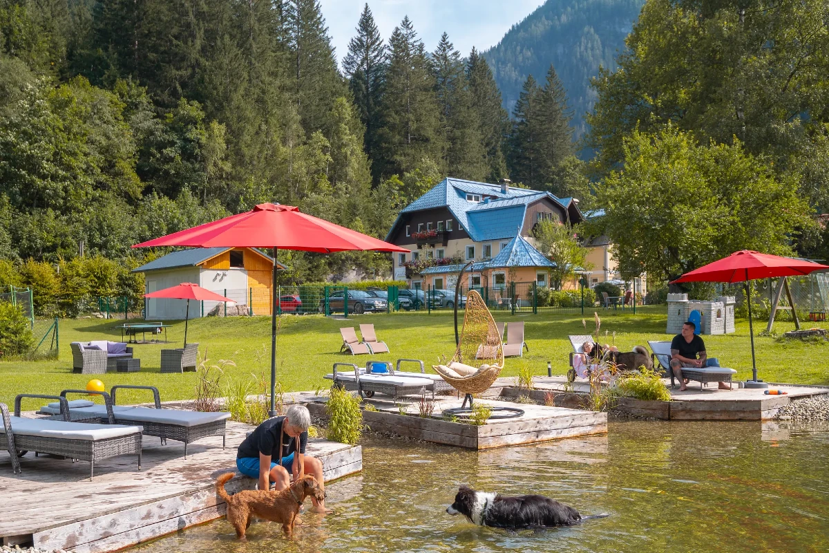 Hundebadeteich im Garten von GRUBERS Hotel-Apartments Gastein mit spielenden Hunden und Gästen am Steg