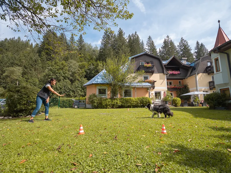 Hundetraining im Garten der GRUBERS Hotel-Apartments in Bad Gastein – Urlaub mit Hund und Hundeseminare