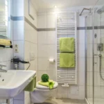 Apartment mit Hund Bad Gastein Badezimmer mit Dusche und WC