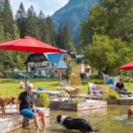 Hund badet im Hundebadeteich im Garten von GRUBERS in Bad Gastein
