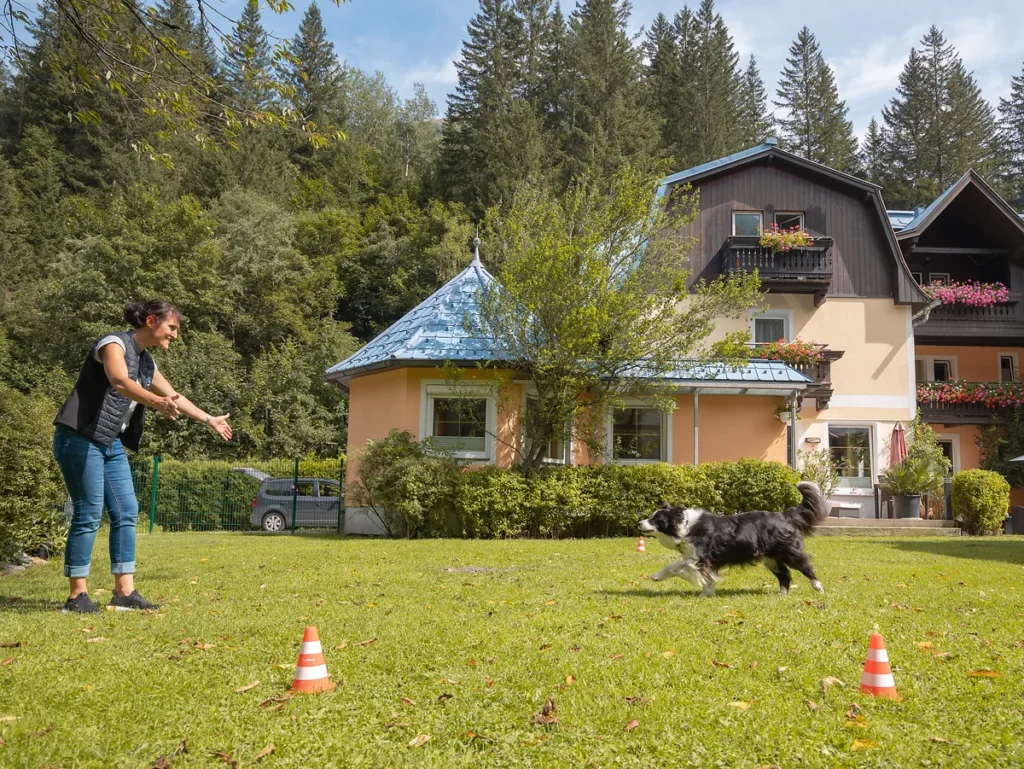 urlaub mit hund training berge