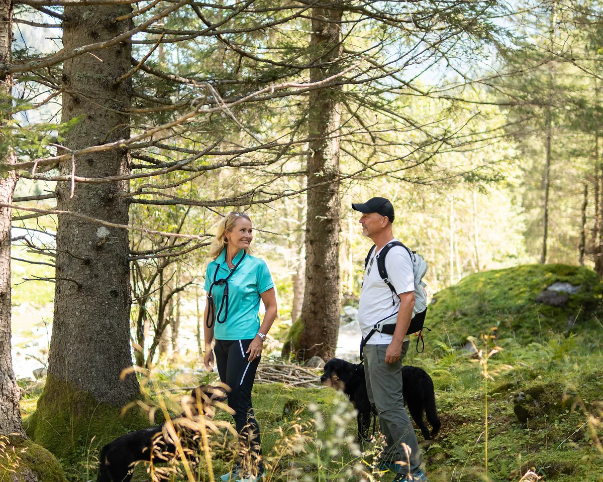 Kuhfreie Waldwanderung mit Hund in Gastein auf ruhigem Wanderweg
