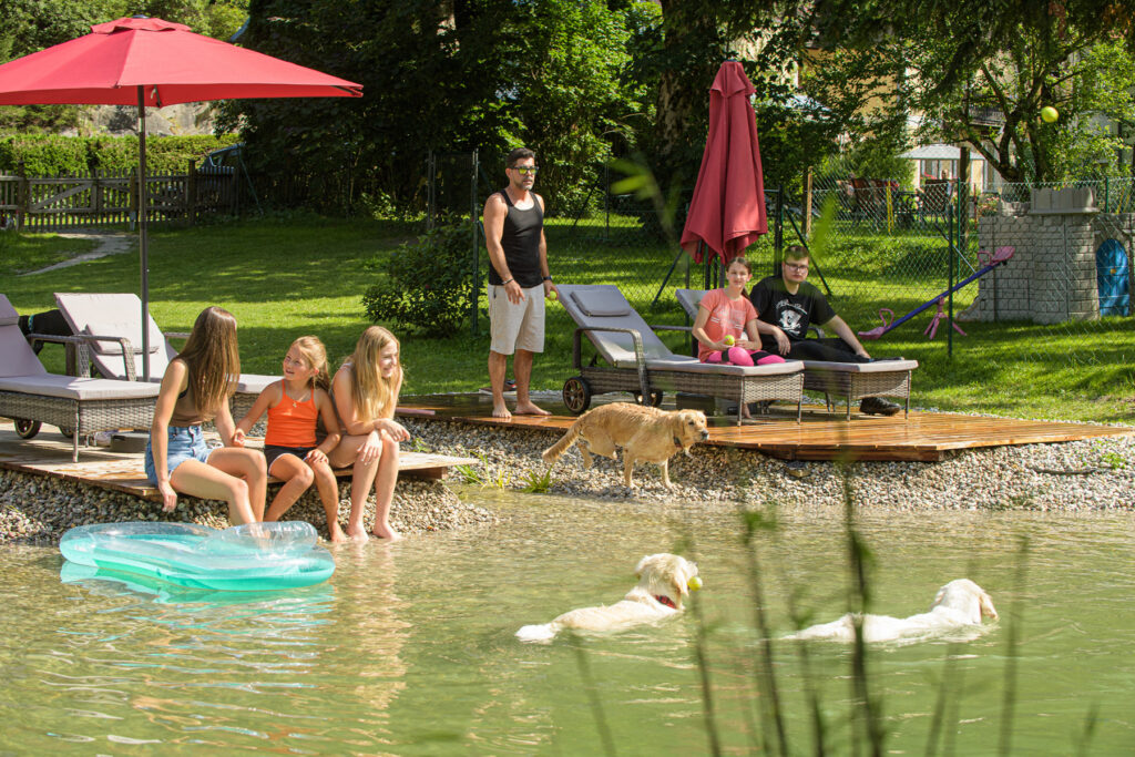 Familien und Hunde am großen Hundebadeteich im eingezäunten Hundegarten