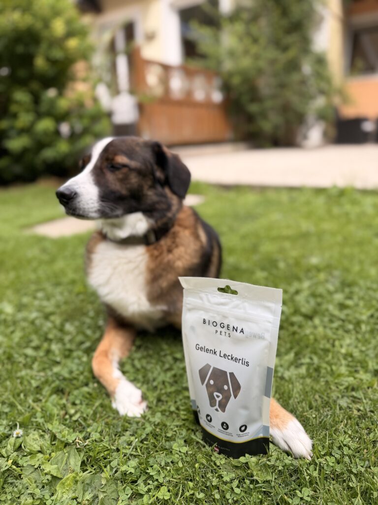 Hund bei Grubers mit Biogena Gelenkleckerlis
