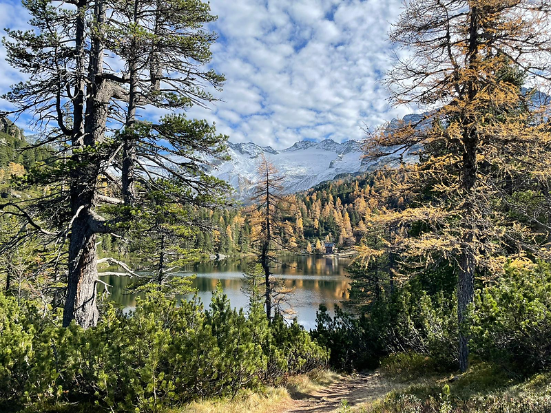 Reedsee im Herbst mit farbenfroher Landschaft und leicht schneebedeckten Bergen in Gastein