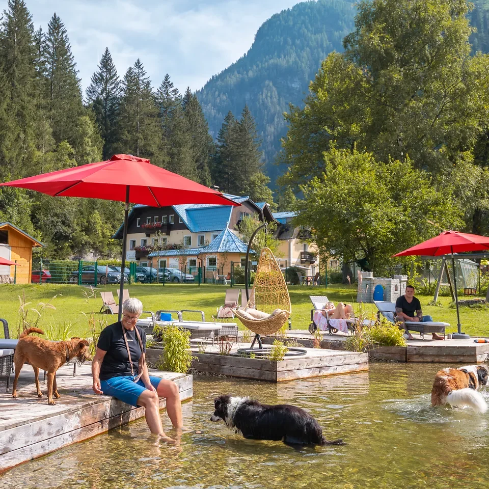 Erholung nach der Wanderung am Hundebadeteich bei GRUBERS in Bad Gastein – Hund im Wasser, Mensch entspannt am Ufer.