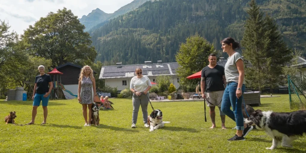 hundetraining urlaub österreich gruppe