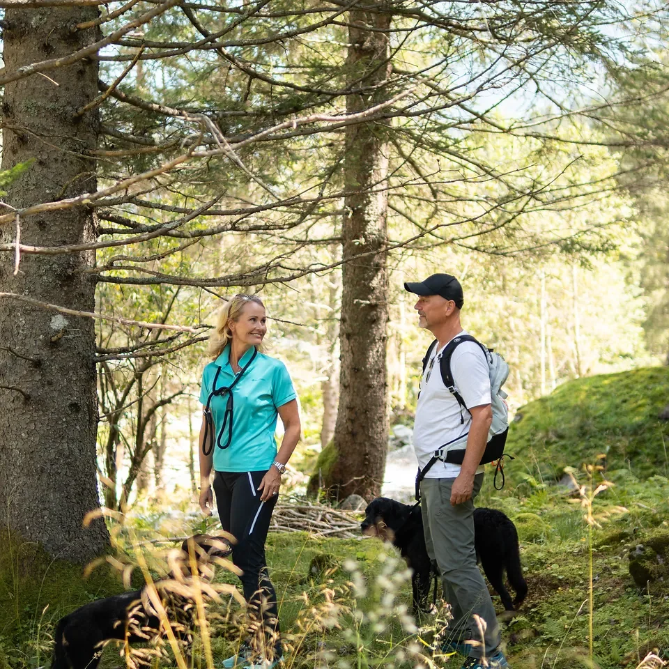 Paar mit zwei Hunden auf dem Böcksteiner Waldweg beim Wandern direkt ab GRUBERS in Bad Gastein